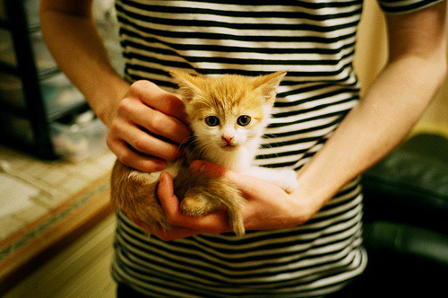 拜仁慕尼黑球员集体受伤，球队前景蒙上阴影，拜仁慕尼黑2021球员