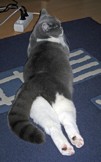 梅西连续两场破门,巴萨客场击败对手,巴萨梅西比赛