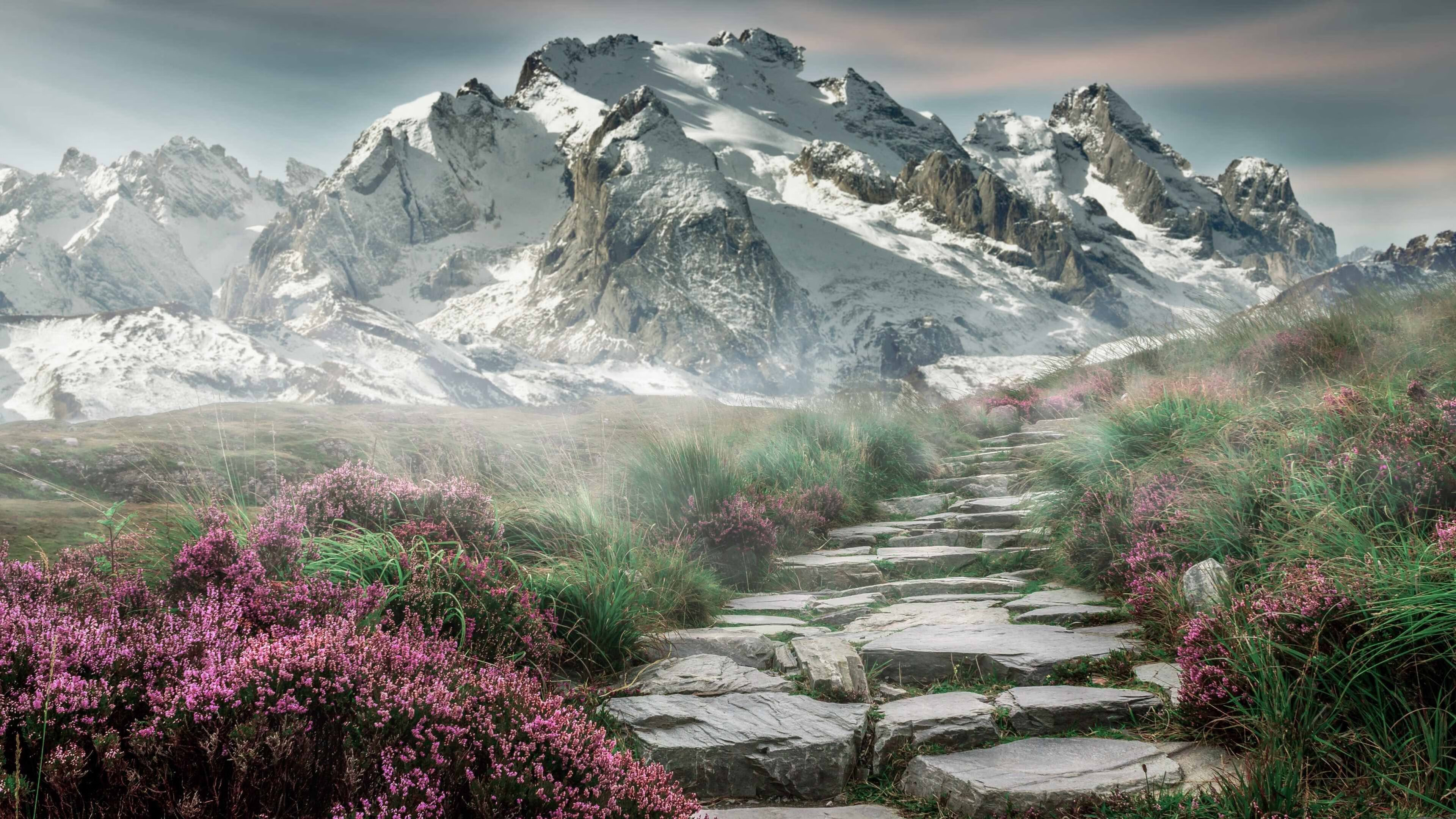 “四川省体育馆拳击赛:全球拳击迷的热血之约,谁能用拳头书写传奇?”