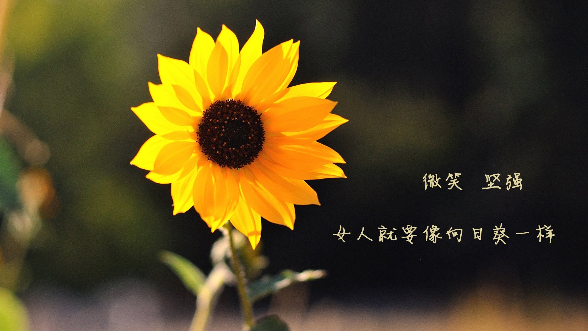 世界杯预选赛中国队惨败 球迷讨论防守漏洞，世界杯预选赛中国队赢了吗