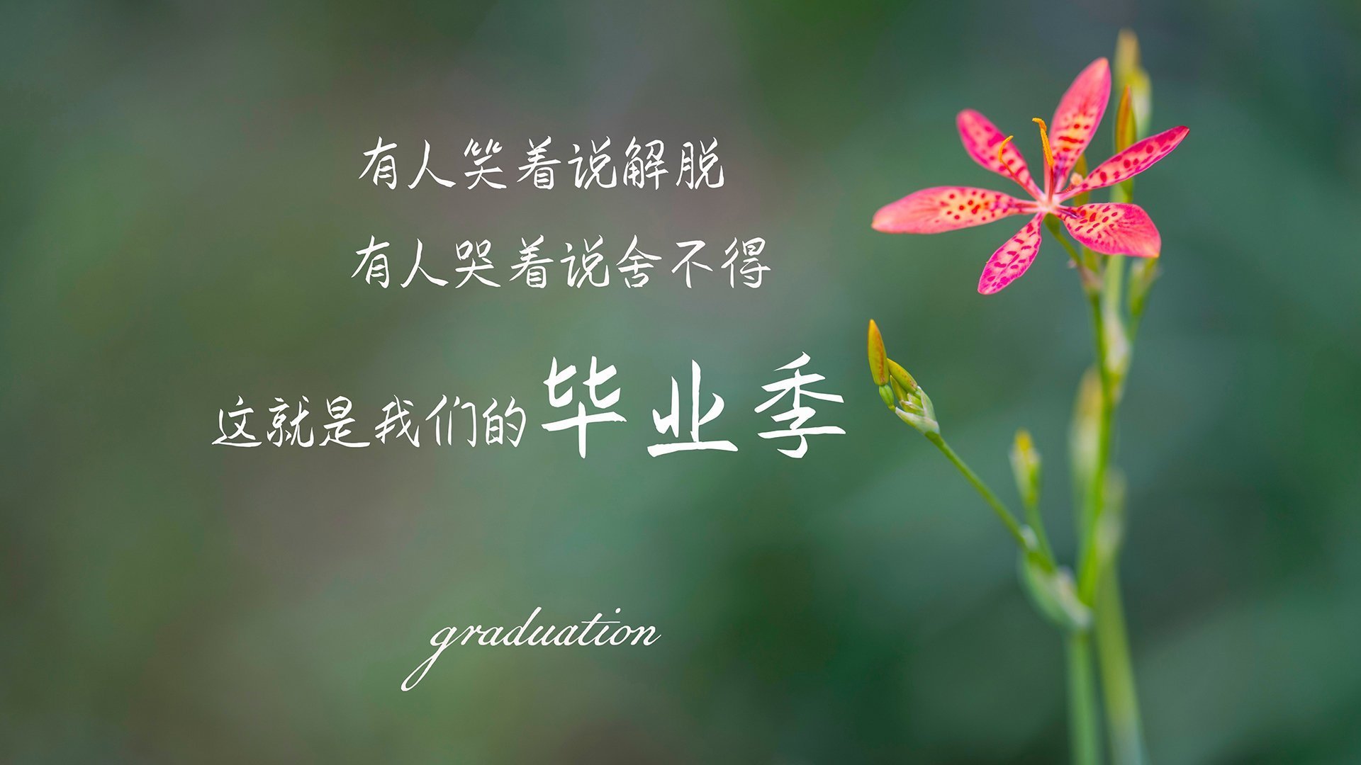 体育新闻中心上线体育赛事虚拟现实互动体验系统,体育新闻官网