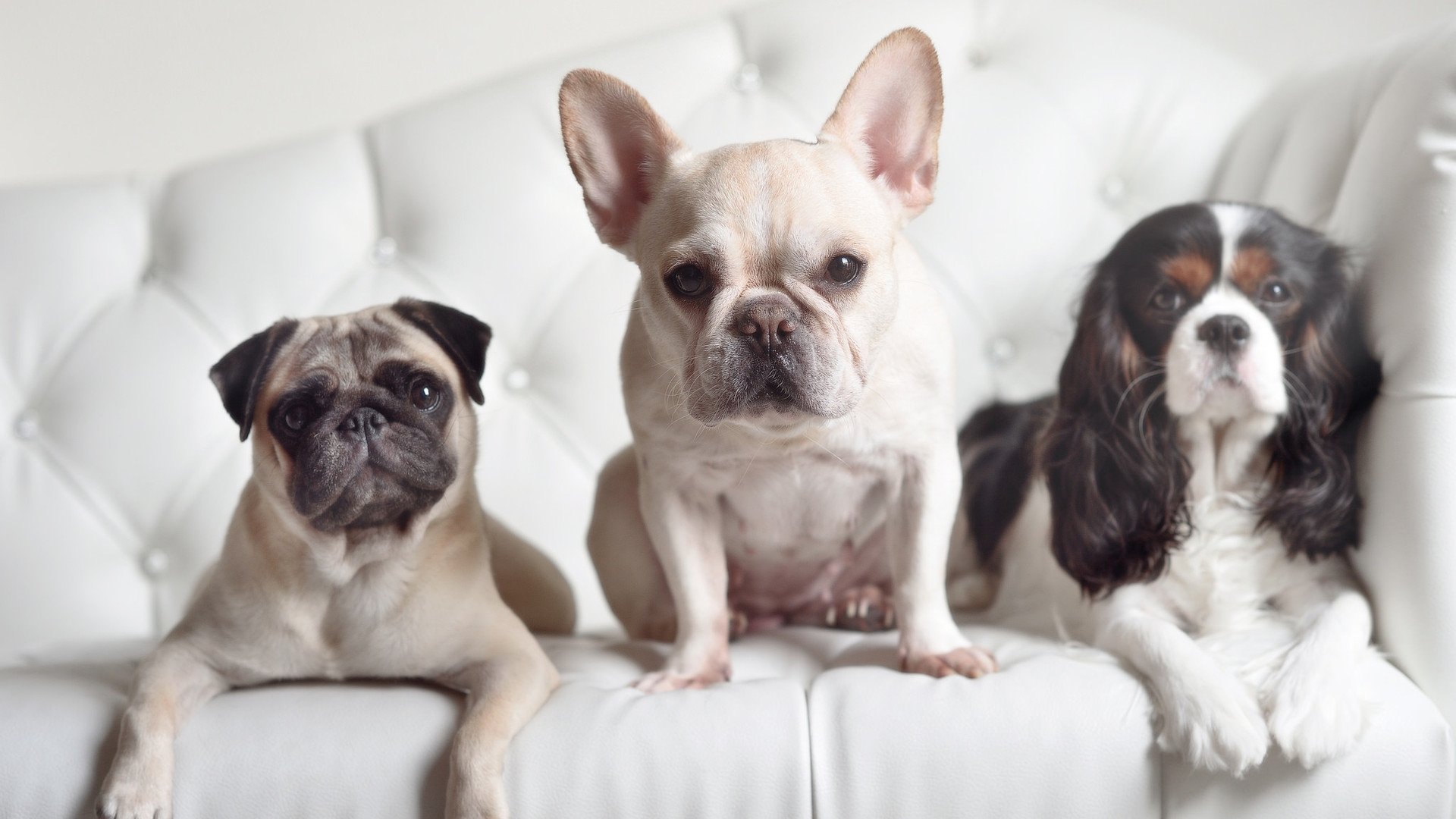 国家队锋线得分能力与联赛脱节严重,中国队锋线球员