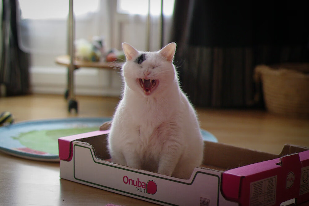 国家队锋线得分能力与联赛脱节严重,中国队锋线球员